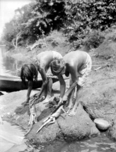 Kvinnor rensa Iguanaödlor, som dessa anse mycket läckra. Erh. av Erland Nordenskiöld 1928 - SMVK - 004014 photo