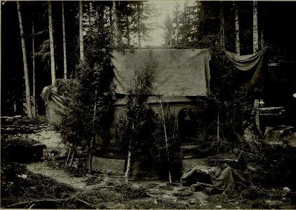 Küsten Haubitzen L-15, Batterie 3, Stellung im Lesachtal. Geschütz maskiert. Aufgenommen am 23. August 1916. (BildID 15480475)