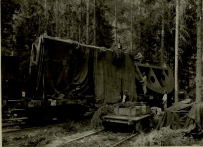 Küsten Haubitzen L-15, Batterie 3, Stellung im Lesachtal. Pivotring am Wagen vor dem Abladen. Aufgen.am 18.VIII.1916. (BildID 15480223)