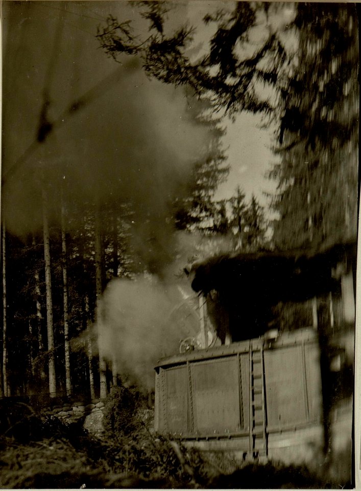 Küsten Haubitzen L-15, Batterie 3, Stellung im Lesachtal. Abschuss. Aufgenommen am 23. August 1916. (BildID 15480461)