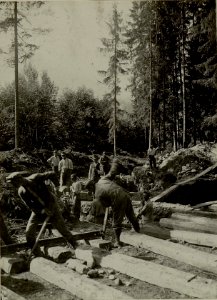 Küsten Haubitzen L-15, Batterie 3, Stellung im Lesachtal. Bettungsgrube und Schienenbau zur Stellung. Aufgenommen am 14. August 1916. (BildID 15480097)
