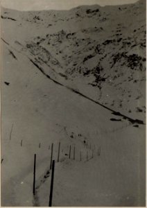 Köderköpfe, untere Seilbahnstation bei + 1261 und Tracen. (BildID 15471520)