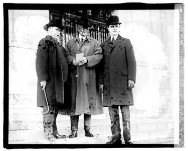 L to R- Martin Glynn, H.M. Robinson, O.D. Young LCCN2016827299