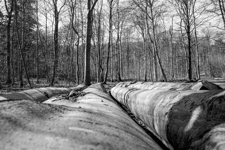 Landscape environment outdoors