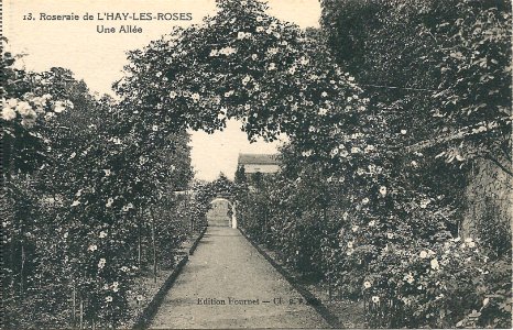 L'Haÿ-les-Roses-FR-94-vers 1925-La Roseraie-03 photo