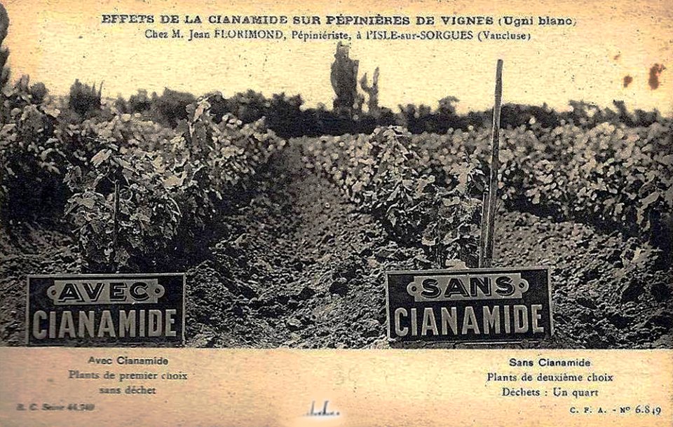 L'Isle-sur-la-Sorgue Pépinières viticoles