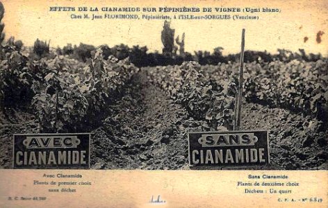 L'Isle-sur-la-Sorgue Pépinières viticoles