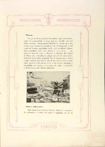 L'isola delle scimie 7