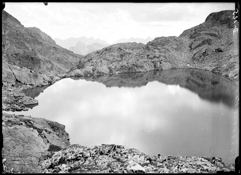 L'ivó d'Arriel Alto