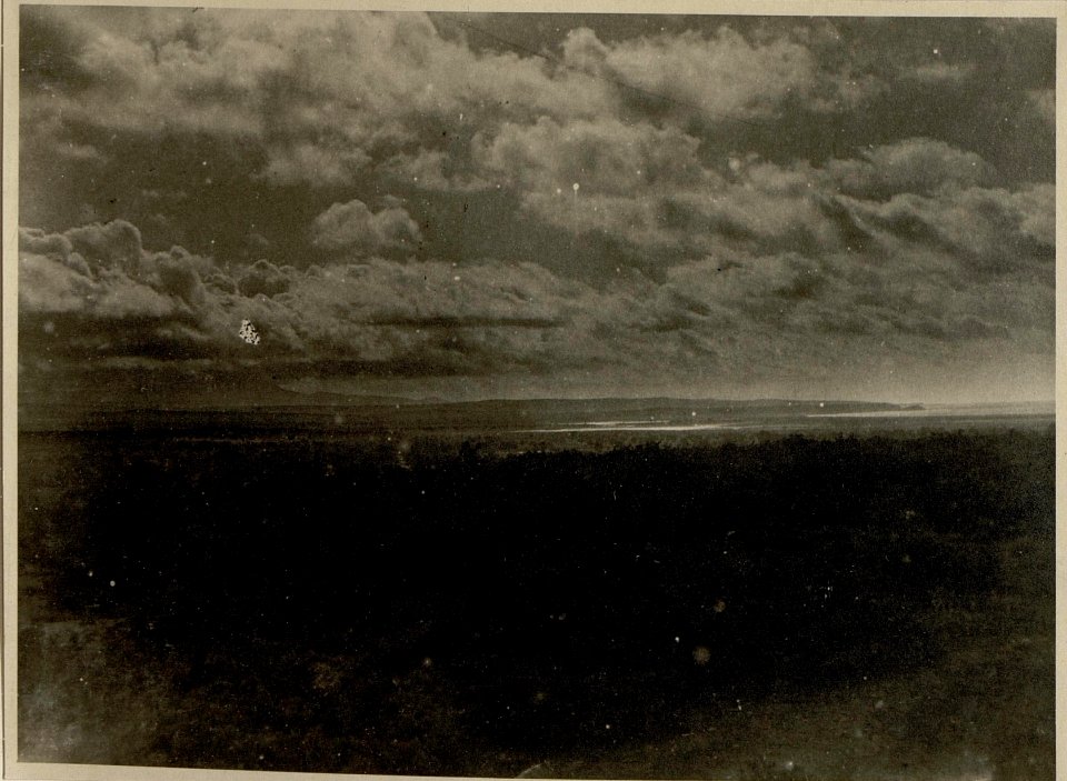 Küste bei Regenwetter 3.12.1917. (BildID 15546710)