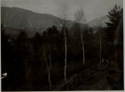 Küste bei Zara. Aufgenommen im März 1916. (BildID 15452622)