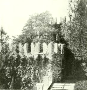 L'Ossola di Carlo Errera (page 114 crop)
