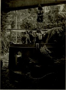 Küsten Haubitzen L-15, Batterie 3, Stellung im Lesachtal. Verschluss wird in das Rohr eingeführt. Aufgen.20.VIII.1916. (BildID 15480356)