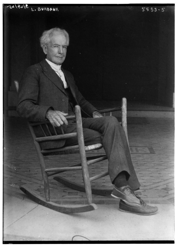 L. (Luther) Burbank LCCN2014713311