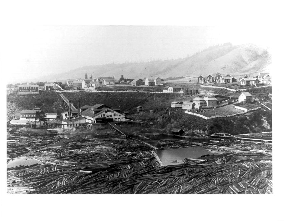 L. E. White Lumber Company's Mill and pond, Elk