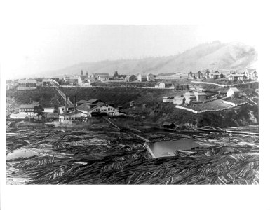 L. E. White Lumber Company's Mill and pond, Elk photo