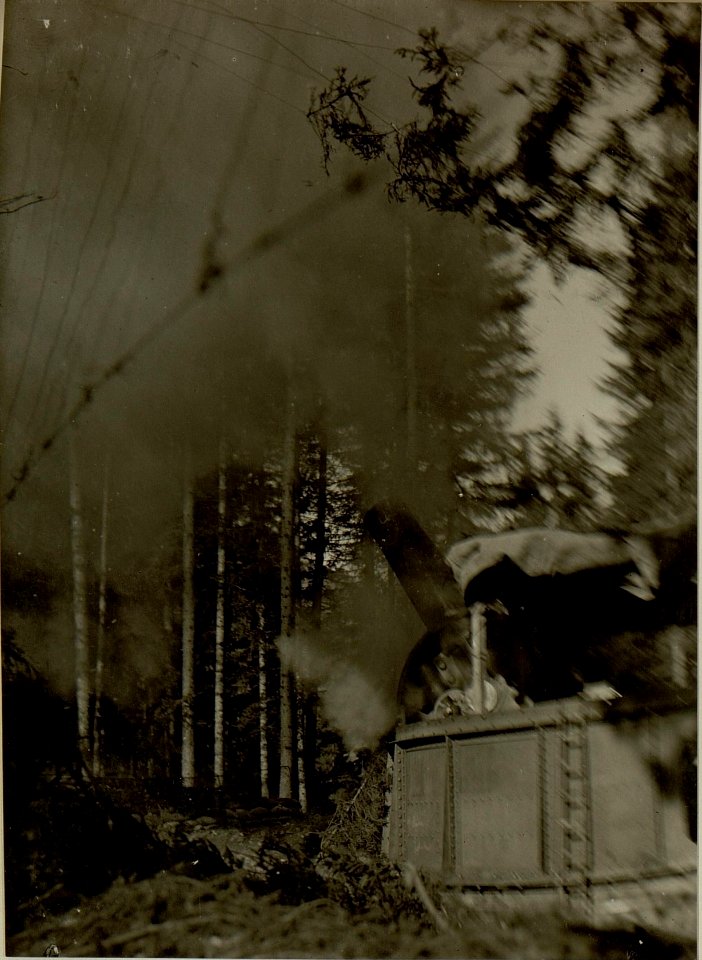 Küsten Haubitzen L-15, Batterie 3, Stellung im Lesachtal. Abschuss. Aufgenommen am 21. August 1916. (BildID 15480447)