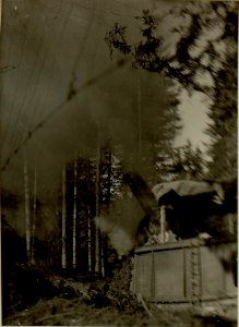 Küsten Haubitzen L-15, Batterie 3, Stellung im Lesachtal. Abschuss. Aufgenommen am 21. August 1916. (BildID 15480447)
