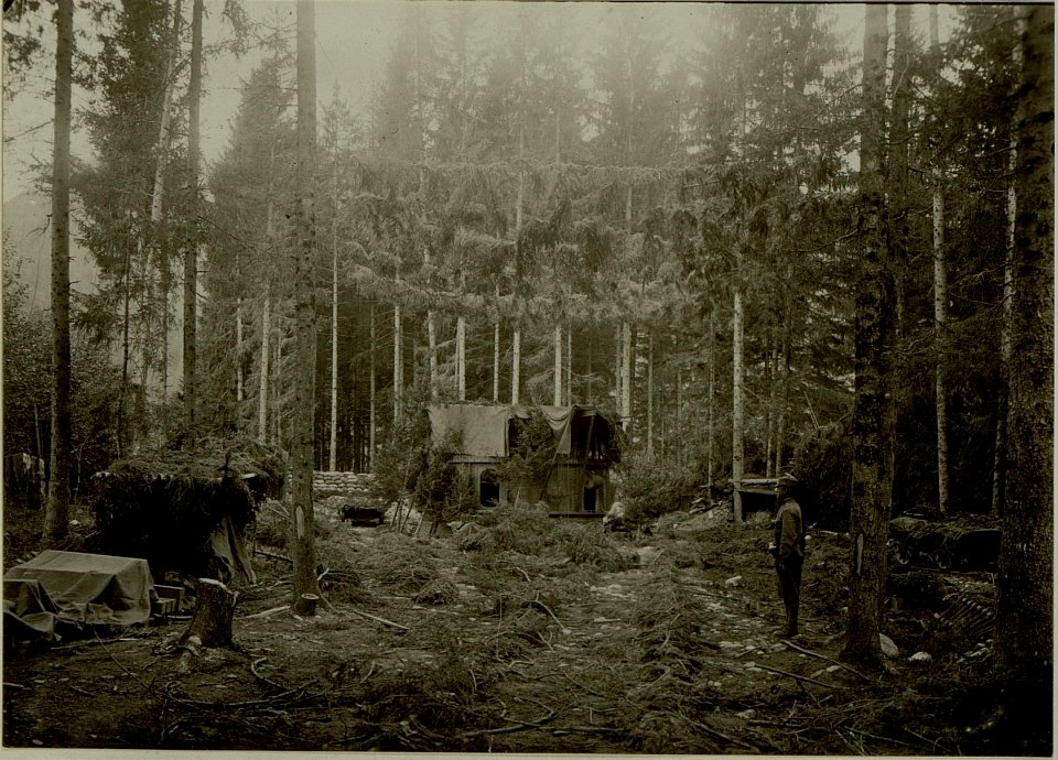 Küsten Haubitzen L-15, Batterie 3, Stellung im Lesachtal. Geschütz maskiert. Aufgenommen am 23. August 1916. (BildID 15480482)