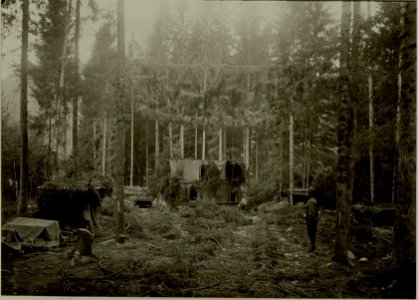 Küsten Haubitzen L-15, Batterie 3, Stellung im Lesachtal. Geschütz maskiert. Aufgenommen am 23. August 1916. (BildID 15480482)