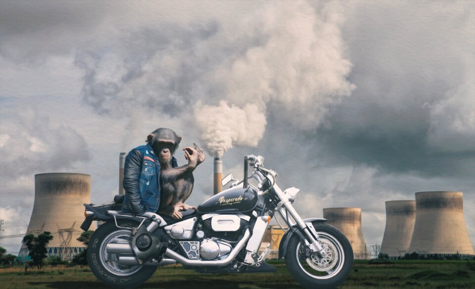 Gas mask chimney environment