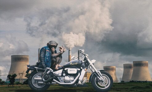 Gas mask chimney environment photo