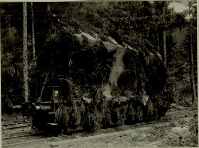 Küsten Haubitzen L-15, Batterie 3, Stellung im Lesachtal. Rohrwagen maskiert am Transport. Aufgen.am 19.VIII.1916. (BildID 15480314)