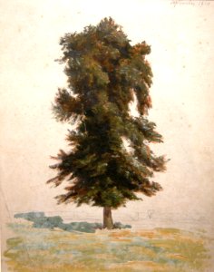 L330 - Léo Gausson - Le grand arbre