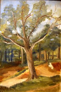 L328 - Léo Gausson - Les grands arbres dans la clairière