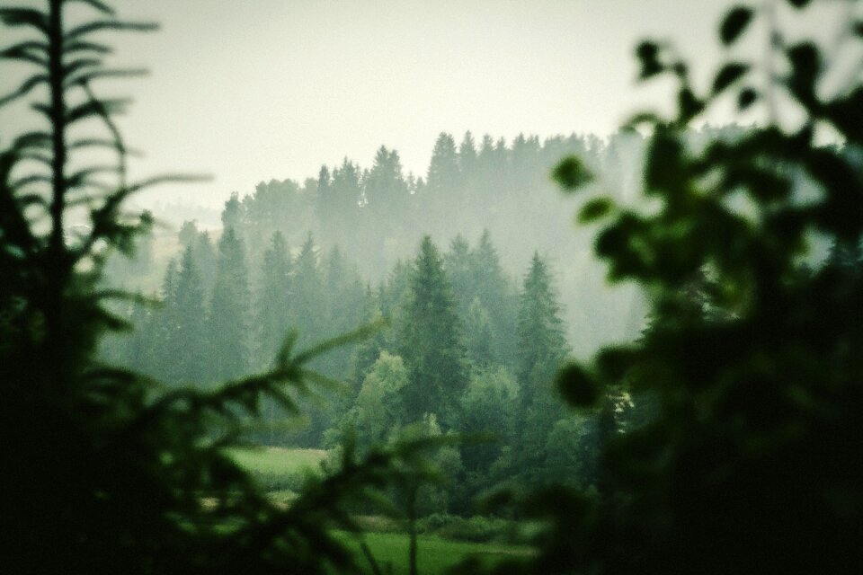 Nature landscape natural