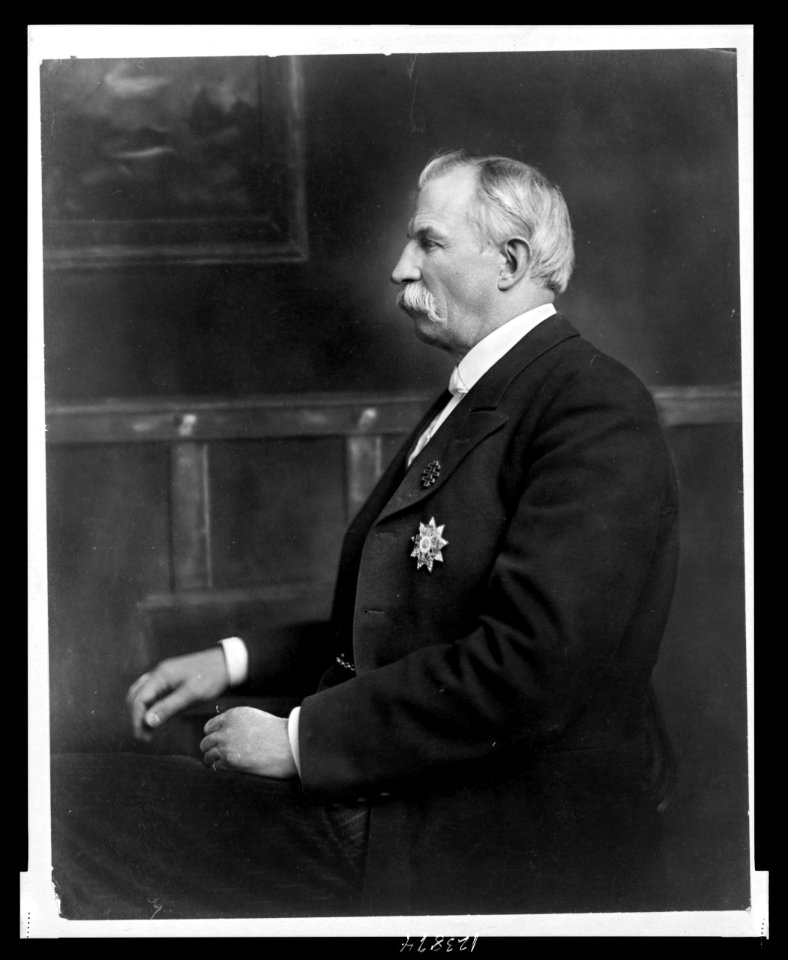 James Daniel Richardson, half-length portrait, seated, facing left LCCN99471560