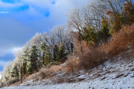 Landscape season snow photo