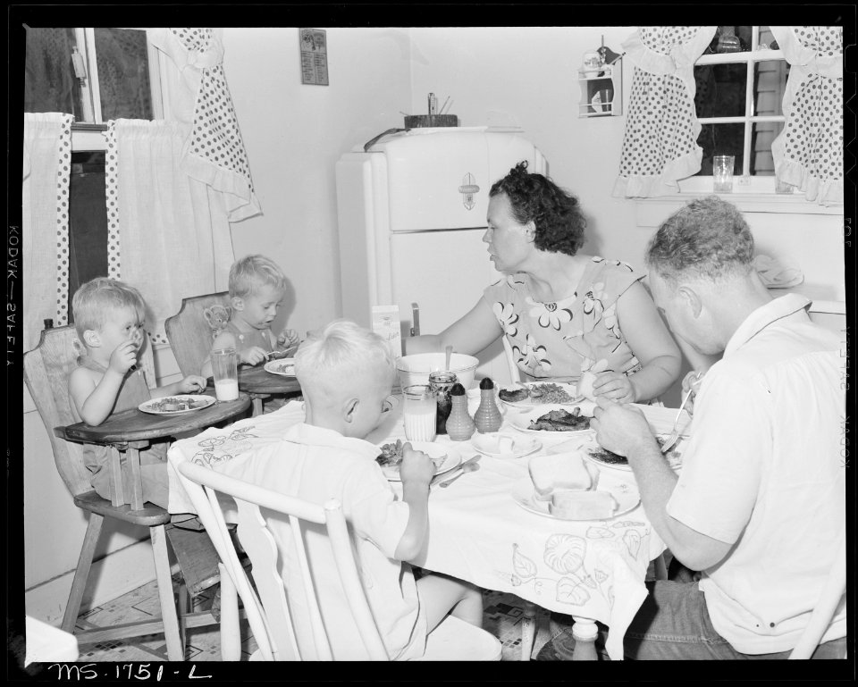 James Jasper, motor brakeman, and his family eat dinner in their kitchen in home in company housing project. Koppers... - NARA - 540913
