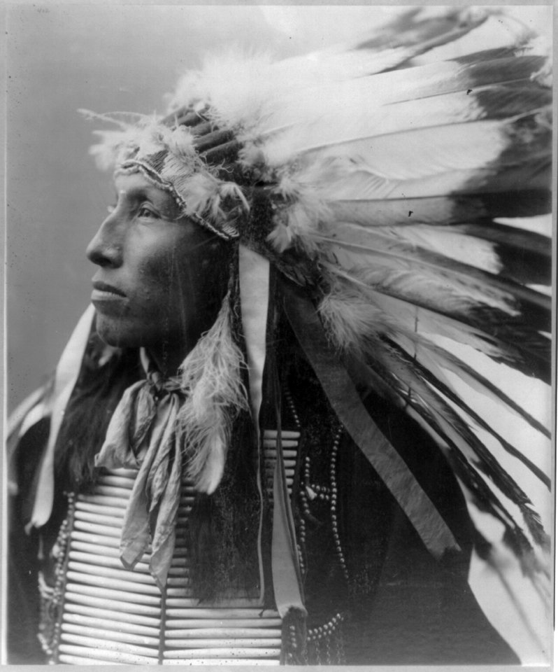 James Lone Elk (Sioux) LCCN2004679554