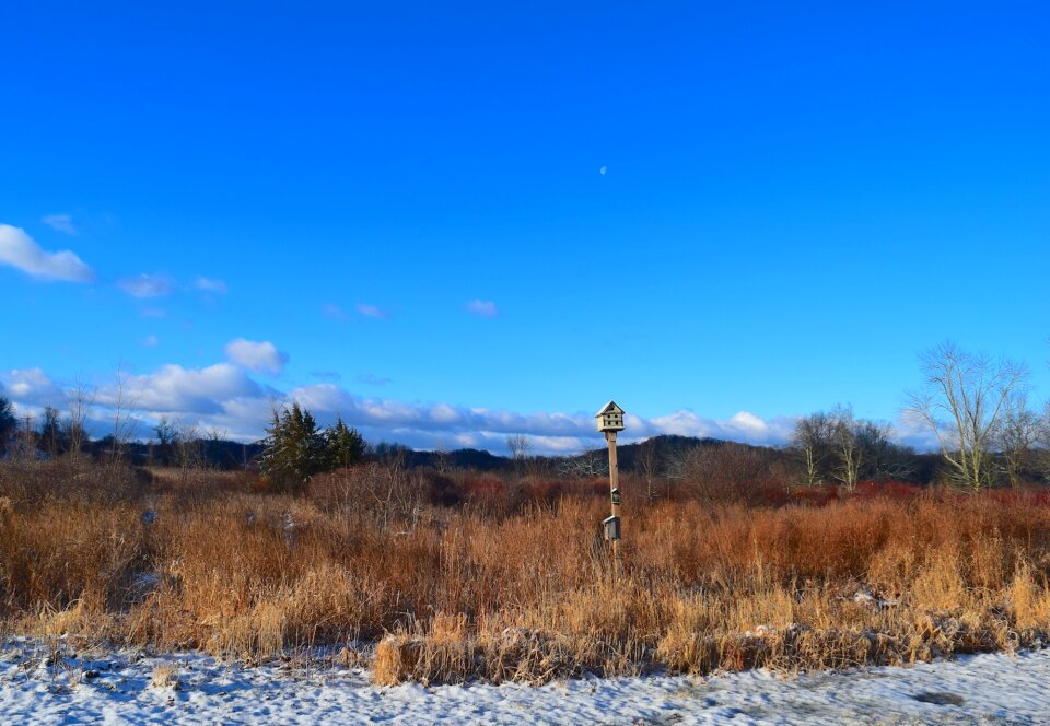 Landscape sky nature