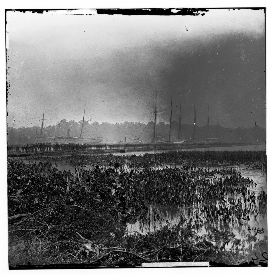 James River, Virginia. Pontoon bridge on which the Army of the Potomac crossed, June 1864 LOC cwpb.01765