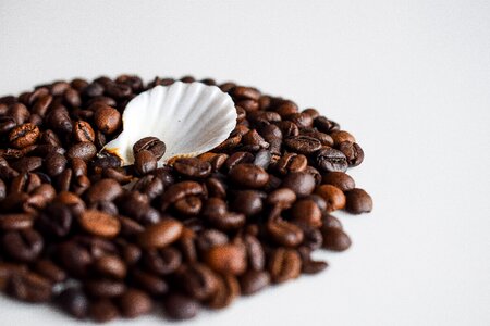 Coffee coffee beans brown photo