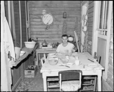 James Wheeler, a miner, on his back porch which he screened at no expense to the company. Raven Red Ash Coal Company... - NARA - 541119