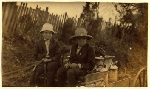 James and Frank Crawford taking milk to town for father, a dairyman. See report. LOC nclc.00422