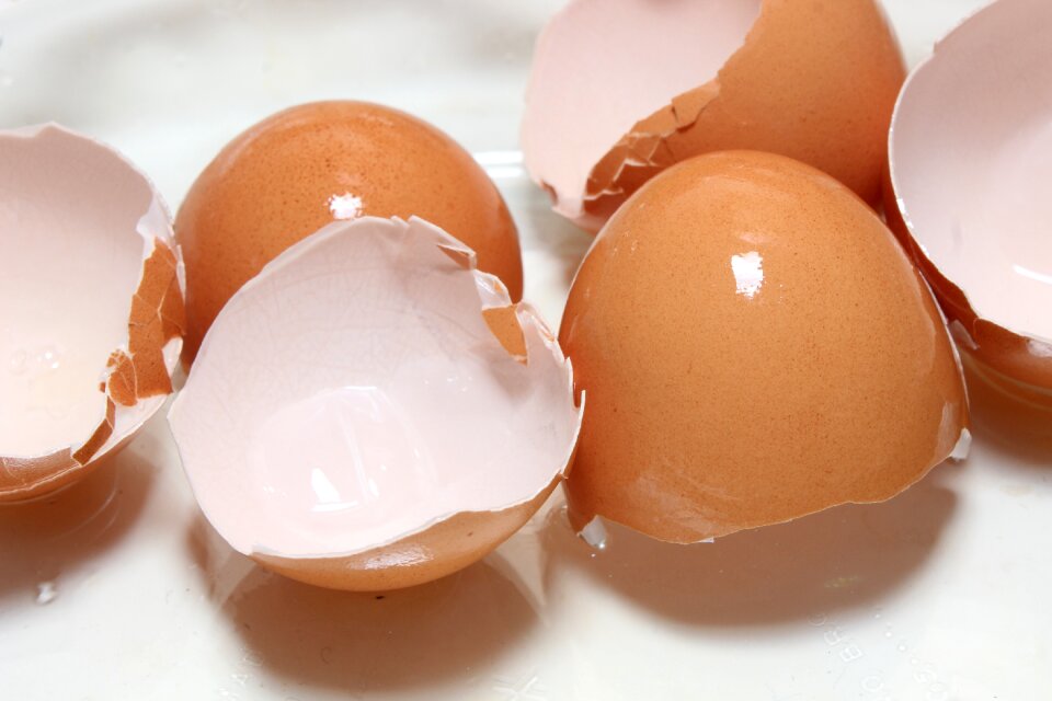 Easter breakfast eggshell