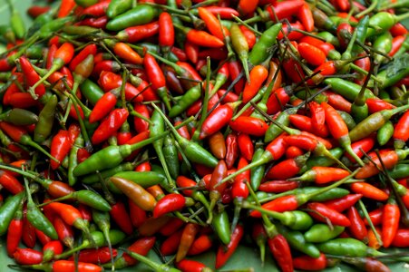 Spices red pepper green peppers
