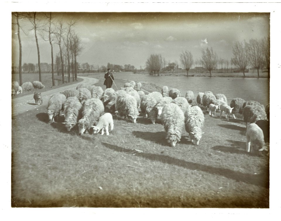 Jan Zeegers, Afb 010029000338