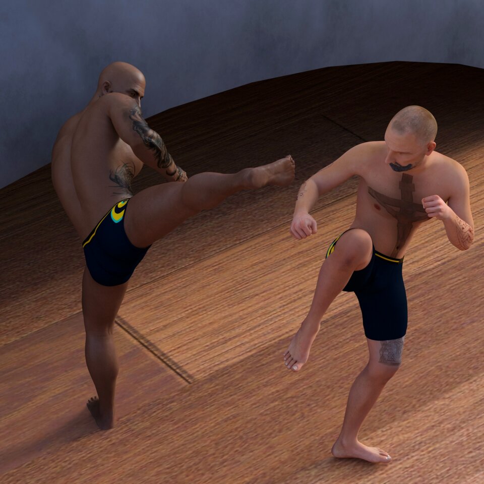 Fight fighter sport