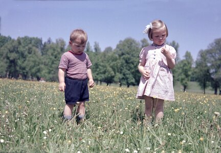 Color image out green