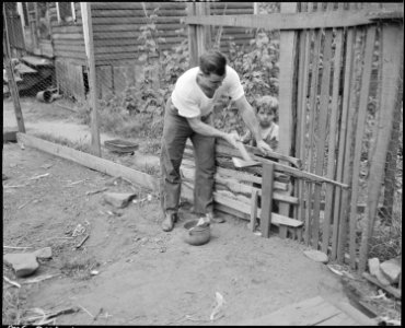 James Wheeler, miner repairs fence of his chicken yard. Raven Red Ash Coal Company, No. 2 Mine, Raven, Tazewell... - NARA - 541117