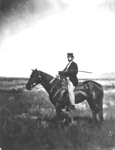 JamesStevensonHaydenSurvey