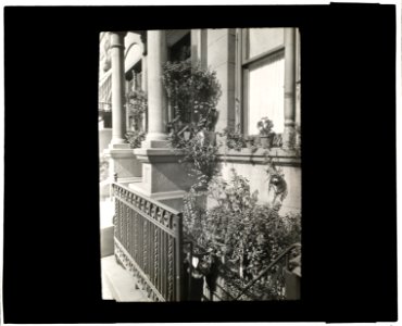 Janitor apartment. 137 East 30th Street, New York, New York. Stairwell garden LCCN2008675980