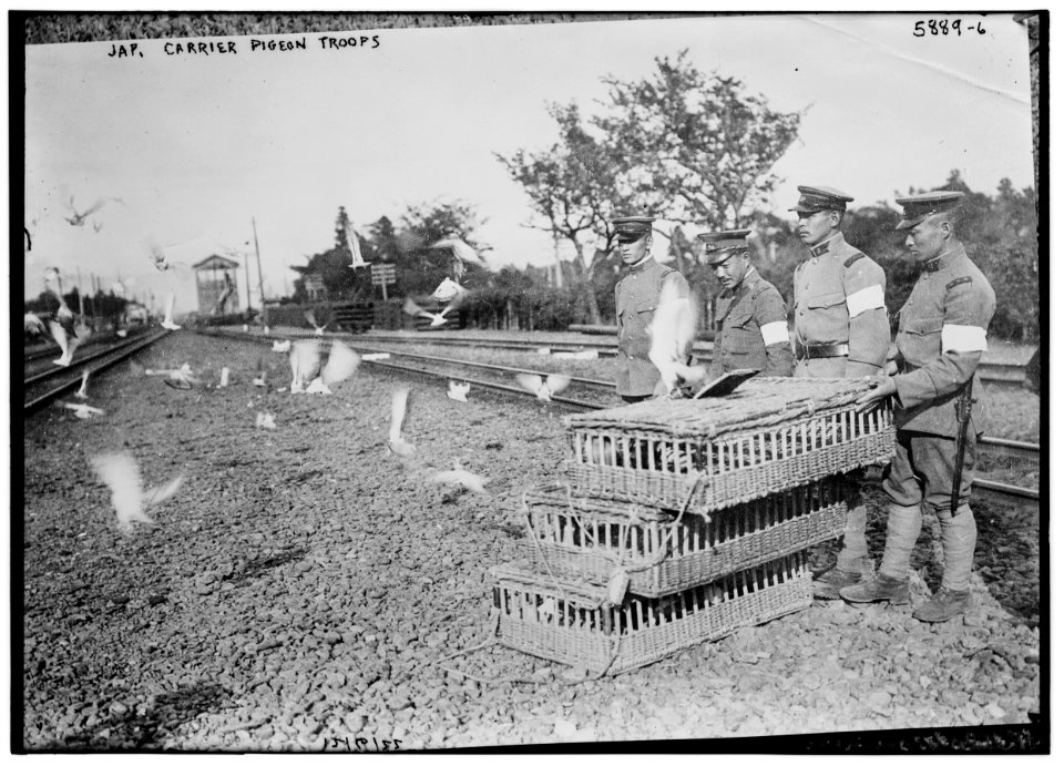 Jap(anese) carrier pigeon troops LCCN2014715433