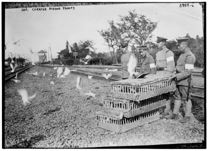 Jap(anese) carrier pigeon troops LCCN2014715433 photo