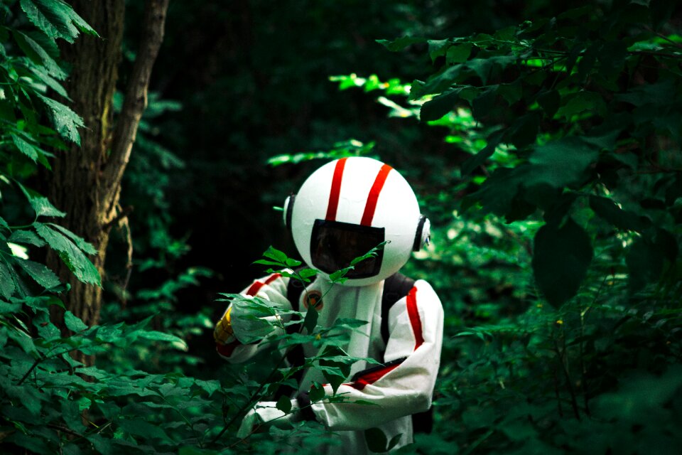 Forest nature people